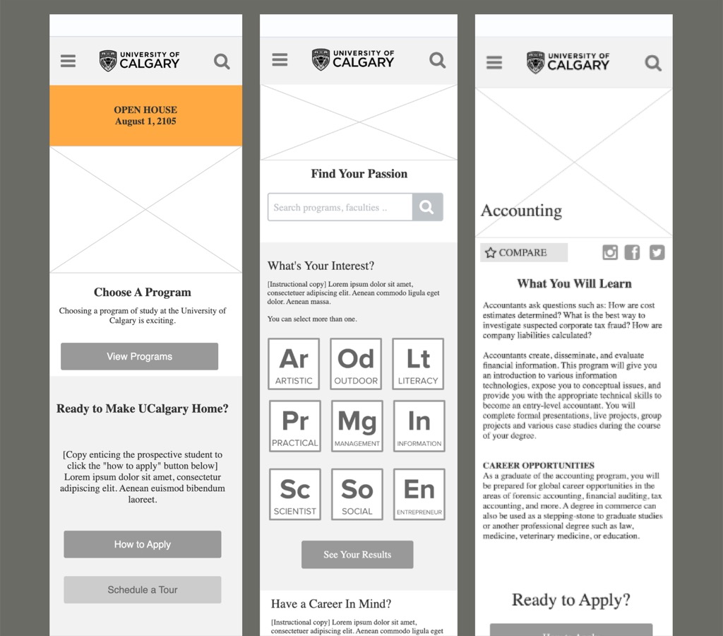 Wireframe visual 1