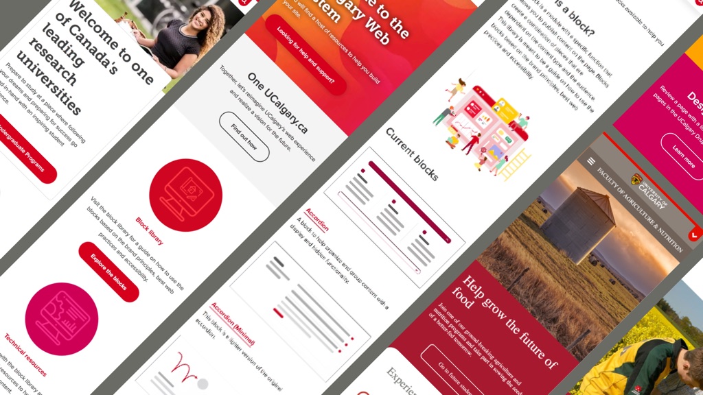 University of Calgary website redesign hero